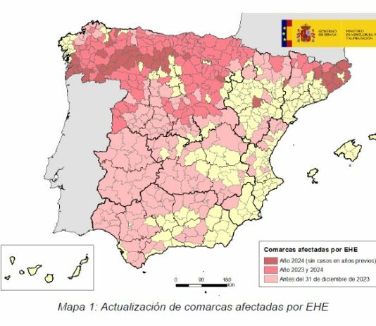 Enfermedad hemorrágica epizoótica (EHE): actualización de focos en bovino en España y Castilla y León