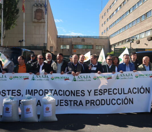 Los agricultores de Castilla y León reclaman soluciones urgentes que garanticen la continuidad de las explotaciones cerealistas