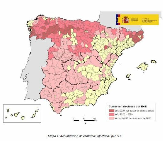 Enfermedad hemorrágica epizoótica (EHE): actualización de focos en bovino en España y Castilla y León
