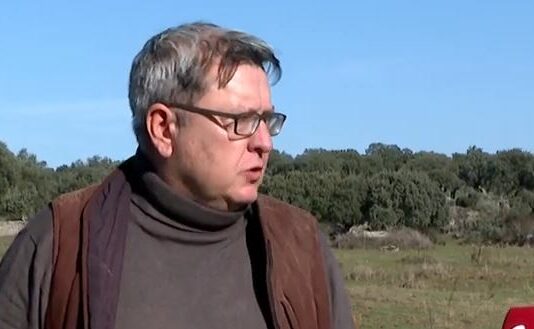 Los ganaderos, desesperados por la tuberculosis bovina -Campo salmantino, 18 de noviembre de 2024