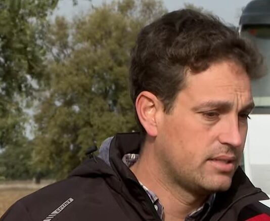 Optimismo en la sementera- Campo salmantino, 04 de noviembre de 2024