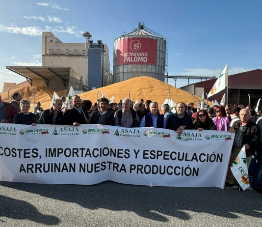 Los agricultores de Castilla y León se manifiestan en Arévalo y anuncian que seguirán en la calle