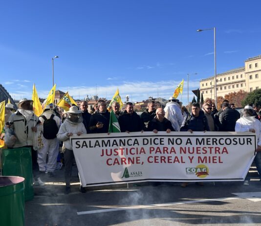 Los agricultores de Castilla y León llevan a Madrid su ira ante la falta de rentabilidad y las nulas soluciones políticas