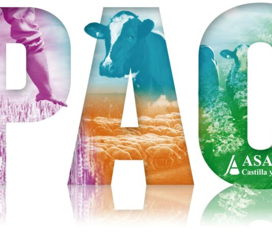 Solicitud Única PAC 2025