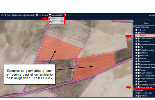 Publicación en el visor SIGPAC de la capa “cultivos reiterados”