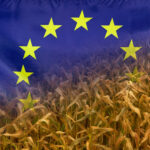 Pan y circo para los europeos