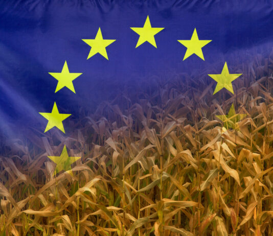 Pan y circo para los europeos