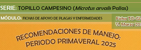 Topillo campesino: recomendaciones preventivas para el periodo primaveral