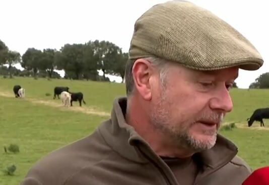 Satisfacción incompleta en el sector del vacuno – Campo Salmantino, 7 de abril de 2025