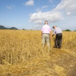 Sin previsión, no hay relevo: el futuro del campo exige responsabilidad