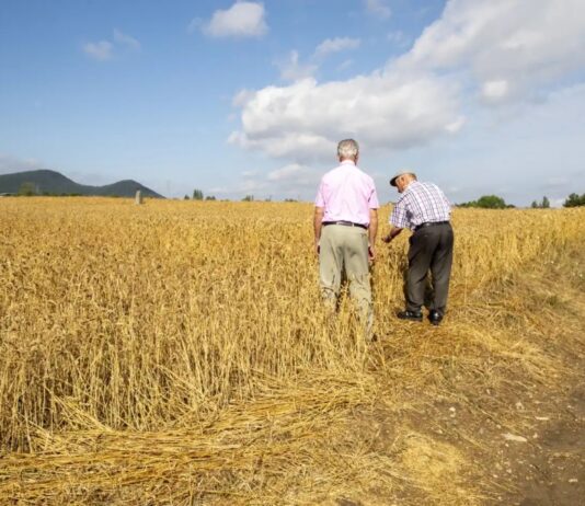 Sin previsión, no hay relevo: el futuro del campo exige responsabilidad