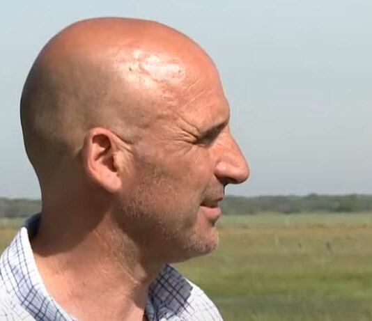 El vacuno aún arrastra los problemas de la E.H.E. – Campo Salmantino, 26 de mayo de 2025