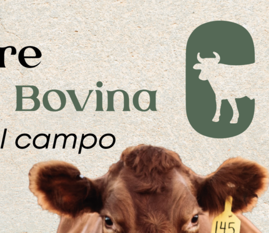 La Plataforma Pecuaria Bovina organiza una Jornada sobre Tuberculosis en Salamanca