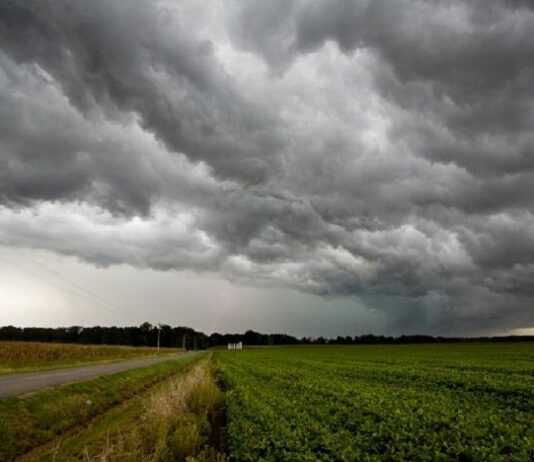 El campo pide a San Isidro que “eche el freno” unos días a la lluvia para completar las siembras de primavera