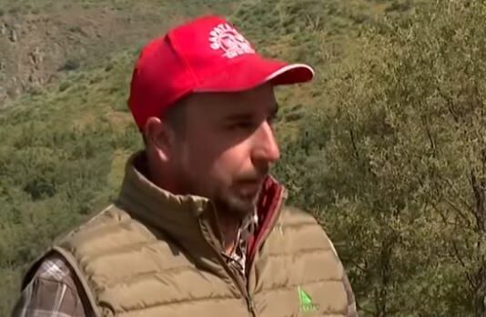 Ataque de buitres a ganado vivo – Campo Salmantino, 2 de junio de 2025