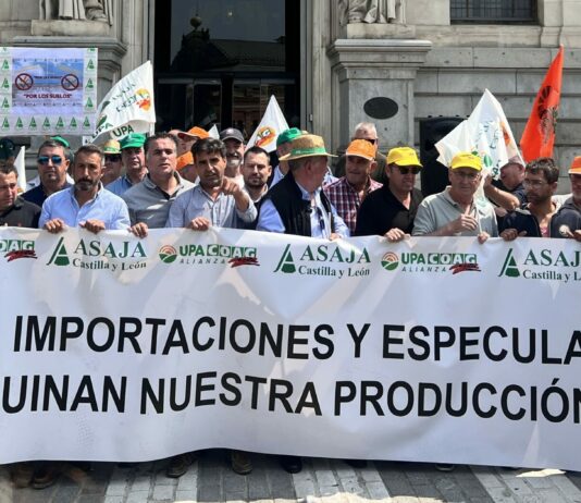 El campo exige al gobierno salvar al cereal español: costes disparados, precios hundidos y competencia desleal