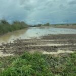 WhatsApp Image 2025-06-03 at 13.31.42