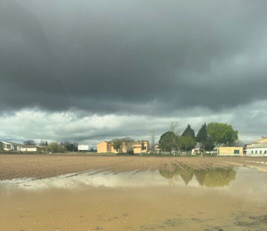 ASAJA Salamanca solicita medidas urgentes para las explotaciones de regadío afectadas por las lluvias en la PAC 2025