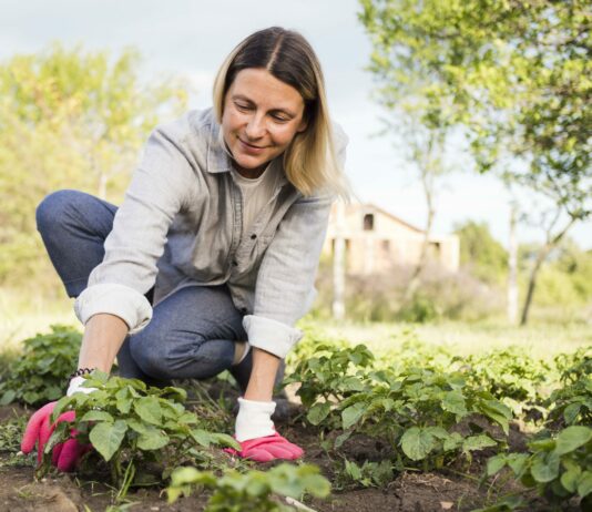 Convocatoria de ayudas al fomento del emprendimiento y contratación de mujeres jóvenes