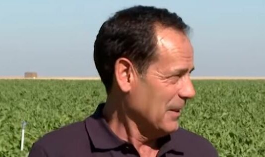 El cultivo de la remolacha pierde interés – Campo Salamantino, 30 de junio de 2025