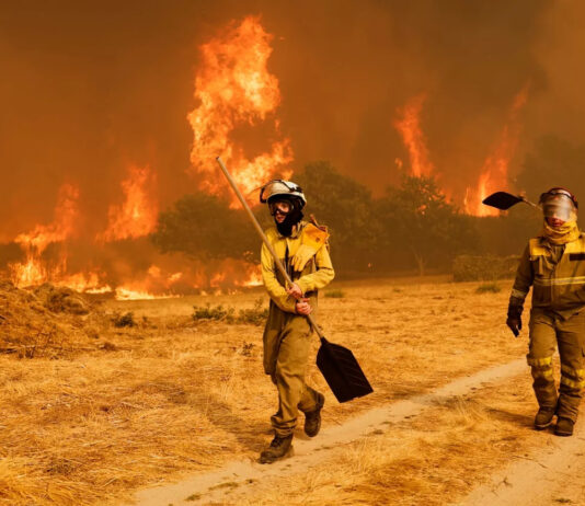 ASAJA pide al Presidente de la Junta una reunión para evaluar los daños por los incendios y trazar un plan urgente de apoyo al sector