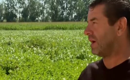 Salamanca espera una buena cosecha de patata y sana- Campo Salmantino, 4 de agosto de 2025