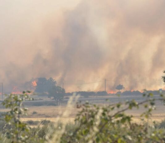 Castilla y León lanza un plan de ayudas con 45 medidas y 114 millones de euros para las zonas afectadas por los incendios