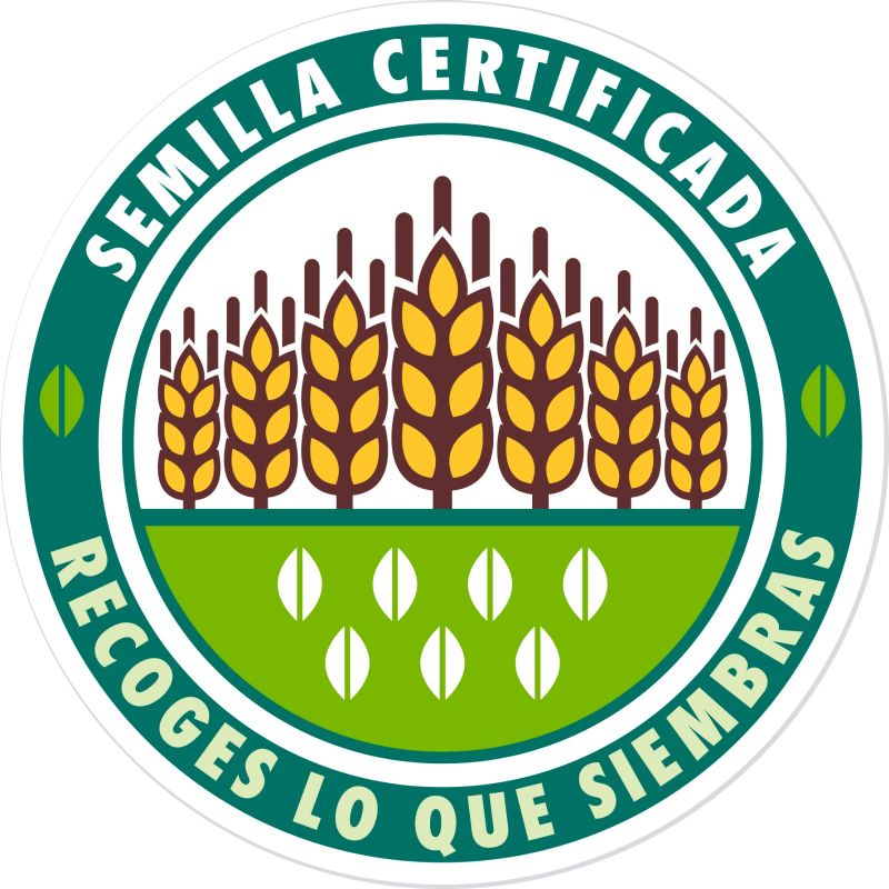 Semilla certificada