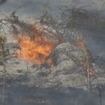 Publicado el listado de beneficiarios de las ayudas a agricultores y ganaderos afectados por los incendios en Castilla y León