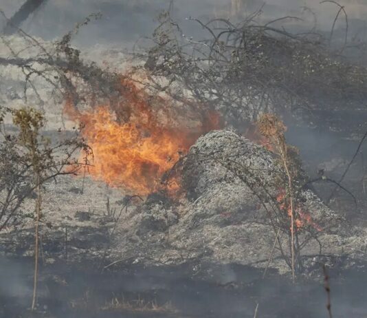 Publicado el listado de beneficiarios de las ayudas a agricultores y ganaderos afectados por los incendios en Castilla y León