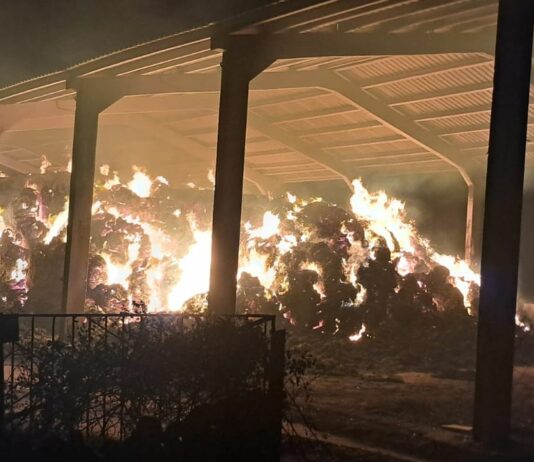 La Junta de Castilla y León abre ayudas para reconstruir instalaciones agrarias dañadas por los incendios del verano de 2025