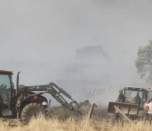 Publicado el segundo listado de beneficiarios de las ayudas por incendios en Castilla y León