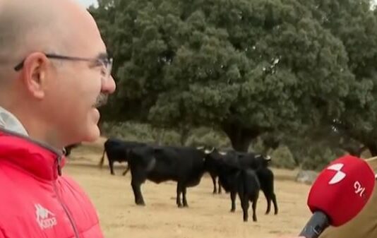 Nueva amenaza sanitaria para los ganaderos-Campo Salmantino, 27 de octubre de 2025