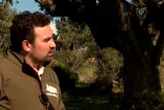 La Montanera – Campo Salmantino, 24 de noviembre de 2025