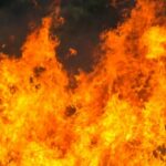 El Gobierno habilita ayudas directas para los agricultores y ganaderos afectados por los incendios