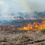 La Junta concede ayudas a agricultores y ganaderos no profesionales afectados por los incendios del verano en Castilla y León