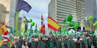 Las organizaciones agrarias de Castilla y León convocan de nuevo actos de protesta por la falta de rentabilidad del sector
