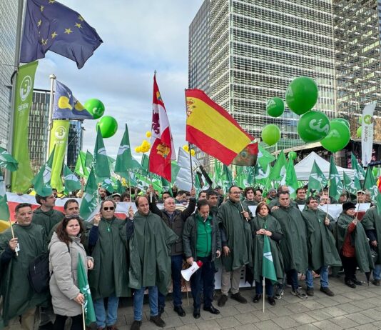 Las organizaciones agrarias de Castilla y León convocan de nuevo actos de protesta por la falta de rentabilidad del sector