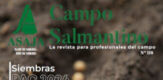Campo Salmantino, noviembre-diciembre 2025