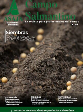 Campo Salmantino, noviembre-diciembre 2025