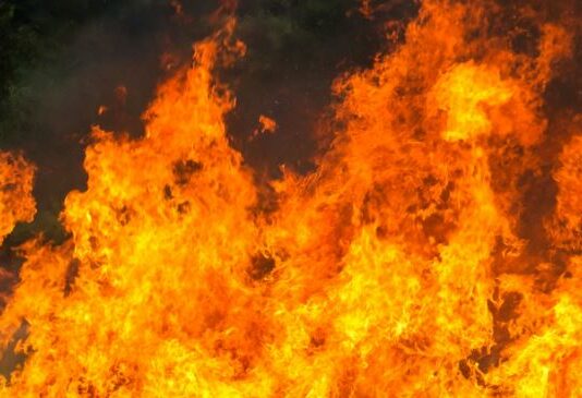 La Junta destina 1,8 millones de euros a garantizar el alimento del ganado tras los incendios de 2025