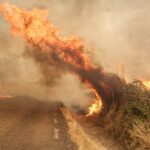 La Junta destina 1,8 millones de euros a garantizar el alimento del ganado tras los incendios de 2025