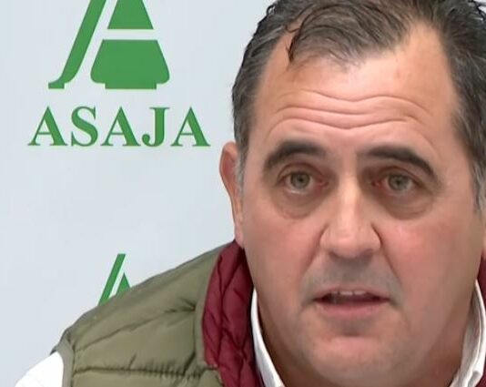 El acuerdo de MERCOSUR termina con la paciencia del campo – Campo Salmantino, 19 de enero de 2025