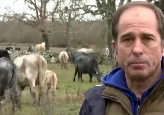 Recuperación del pasto tras los incendios de agosto – Campo Salmantino, 29 de diciembre de 2025