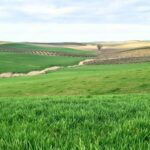 Convocada la incorporación a las ayudas agroambientales 2026