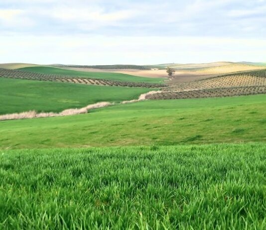 Convocada la incorporación a las ayudas agroambientales 2026