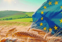 ASAJA Salamanca valora la premura de la Junta en aprobar las flexibilizaciones de la PAC 2026 como consecuencia de las adversidades meteorológicas, aunque advierte que no son suficientes