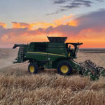 El Supremo avala el criterio que ASAJA venía defendiendo: la compensación del IVA no cuenta como ingreso en módulos