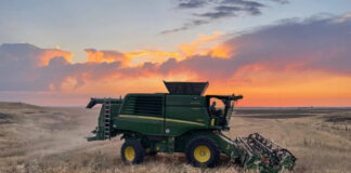 El Supremo avala el criterio que ASAJA venía defendiendo: la compensación del IVA no cuenta como ingreso en módulos