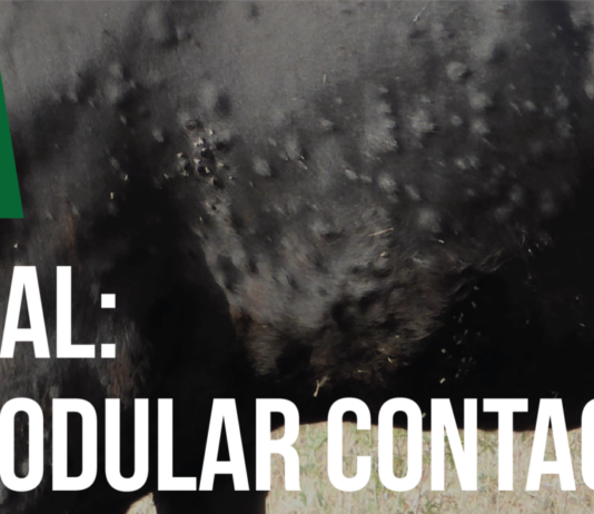 ASAJA Salamanca organiza una jornada sobre Dermatosis Nodular Contagiosa para informar al sector ganadero